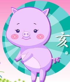 今日运势：生肖猪座今日运势（猪人今日运势）