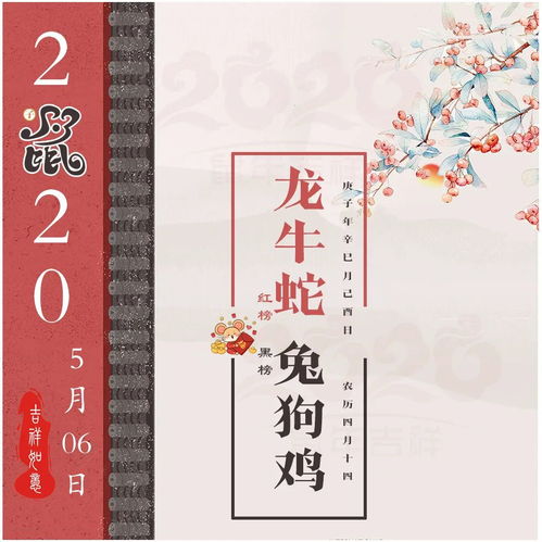 感情运势：兔生肖感情5月运势如何（生肖兔五月运势怎么样）