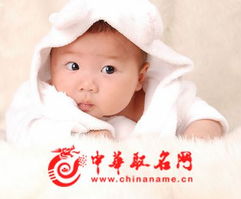 宝宝取名：虎年宝宝取名姓向怎么取（虎年宝宝取名姓向怎么取名）