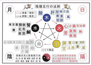 感情运势：辛巳日柱2025年感情运势（辛巳日主2022年运势）