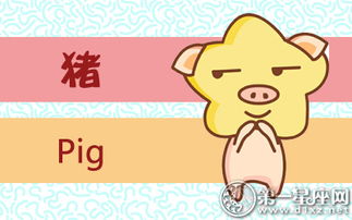 今日运势：属猪的今日爱情运势（属猪人今日爱情运势）