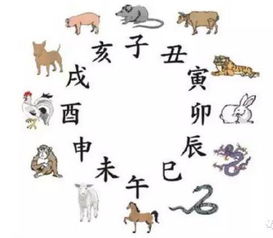 八字合婚：羊女和狗男八字合不合婚（羊女和狗男的属相适合结婚吗）