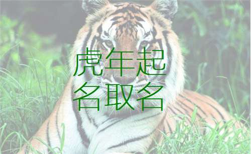 宝宝取名：虎宝宝取名怎么体现虎字（虎宝宝起名用字）