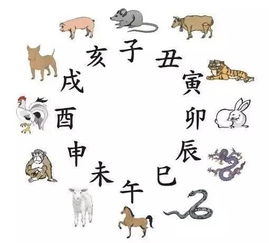 十二生肖近期财运势表格（十二生肖2021年财运运气怎样）