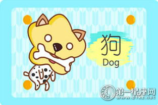 今日运势：属相狗运势今日财运（属相狗今日运势查询）