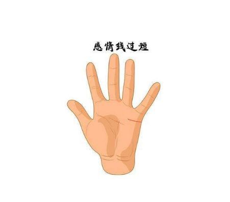 感情运势：感情运势好的手相图女人（感情运势好的手相图女人）