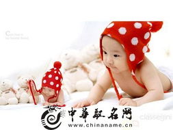 宝宝取名：春天的兔宝宝取名怎么取（春天的兔宝宝取名怎么取好听）