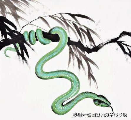 八字合婚：蛇跟龙八字合不合婚配呢（龙和蛇八字合吗）