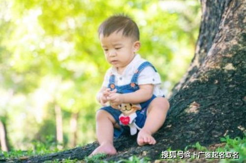 宝宝取名：虎宝宝男取名乳名怎么取（虎宝宝男孩小名叫什么好听）