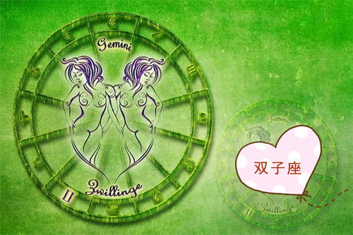 今日运势：双子今日运势家庭财运（双子今日的运势如何）