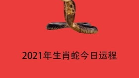 今日运势：今牛做今日运势（今日运程生肖牛）