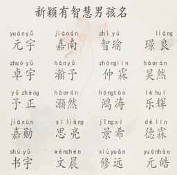 宝宝取名：宝宝姓重要吗怎么取名好听（姓很重要吗）
