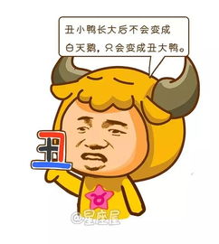 感情运势：星座屋一周感情运势（星座屋本周运势）