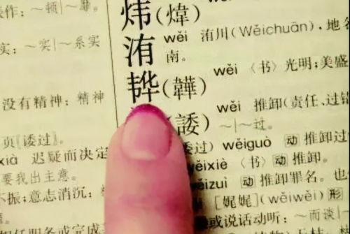 宝宝取名：杨炳取名男宝宝怎么取（杨炳取名男宝宝怎么取名）
