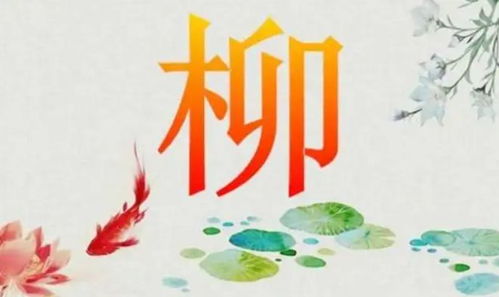 宝宝取名：虎年姓柳宝宝取名怎么取（2021年姓柳的男宝宝名字）