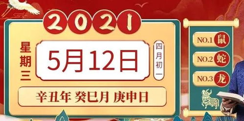 今日运势：今日龙鼠运势查询（运势播报今日生肖龙运势）