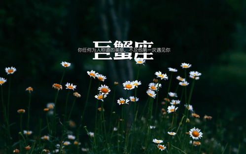 巨蟹座女近期感情运势（巨蟹女近期爱情运势）