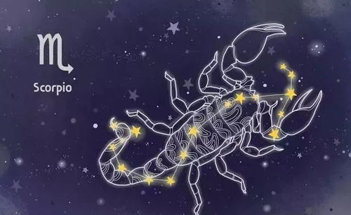 今日运势：双子今日运势运程（双子今日运势座星座星）
