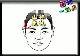 感情运势：感情运势看相怎么看的（感情运势算命）