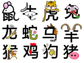 今日运势：今日运势凶吉生肖（今日运势凶吉生肖是什么）