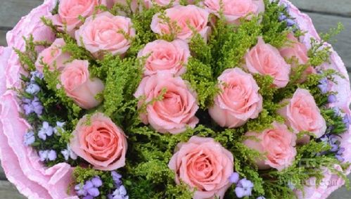 玫瑰花11朵和19朵含义