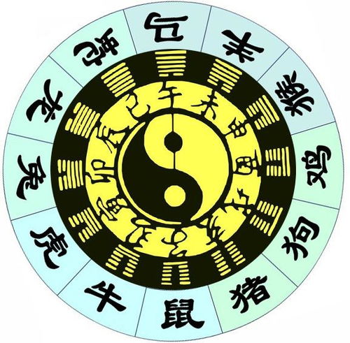 八字合婚：男命八字大运财与官合婚（大运财官相生）