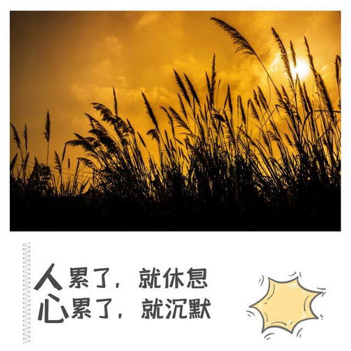 感情运势：金牛晚年感情运势怎么样（金牛座年底的感情运）