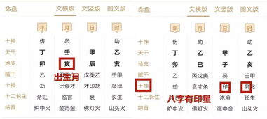 八字合婚：八字乙木和甲木合不合婚（乙木和甲木什么关系）