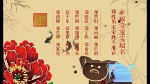 宝宝取名：属鼠宝宝姓赵怎么取名（姓赵属鼠宝宝名字大全）