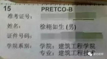 宝宝取名：宝宝名字徐瑾年怎么取名（徐什么瑾好听）