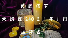 天蝎男近期运势运程如何（天蝎男2021）