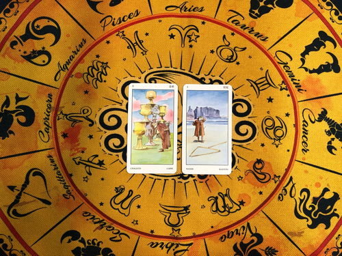 感情运势：狮子座7天感情运势（狮子座7月感情运势塔罗）
