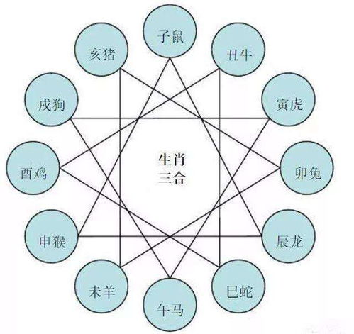 八字合婚：八字五行合婚相生相克（八字五行合是什么意思）