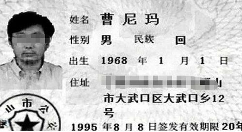 宝宝取名：虎宝宝抖音名称怎么取名（属虎抖音名字怎么取）