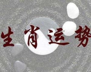 今日运势：怎么卜卦看今日运势（今天卜卦）