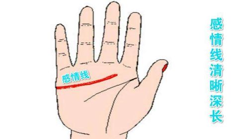 感情运势：手相看老婆感情运势准吗（看手相算婚姻准吗?