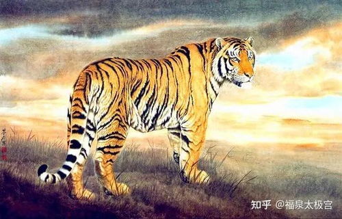 今日运势：虎的今日运势分析（虎生肖虎今日运势查询）