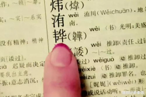 宝宝取名：王字猴宝宝取名怎么取（王侯起名字）