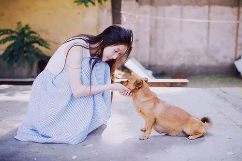 感情运势：属狗女六月感情运势（六月份属狗女财运）