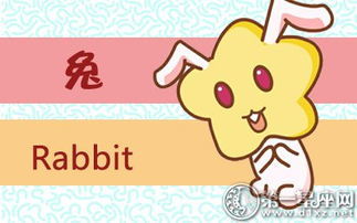 感情运势：属兔男座每月感情运势（属兔男座每月感情运势好吗）