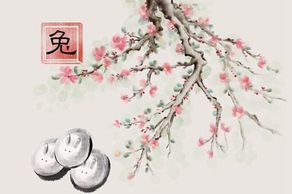 感情运势：属兔4月感情运势如何（属兔四月份运势如何2021）