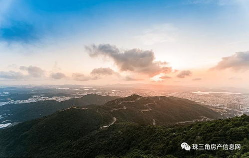 感情运势：天瓶座女最新感情运势（天瓶座感情运势2021）