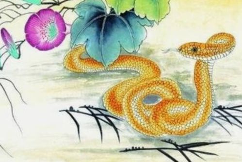 感情运势：蛇农历五月感情运势（蛇农历五月感情运势如何）