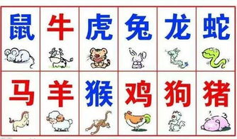 八字合婚：蛇男鸡女八字合不合婚姻（蛇男与鸡女合不合）