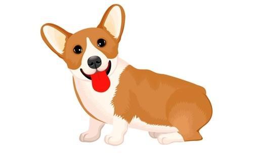 今日运势：今日狗生肖运势最新（生肖狗今日运势神巴巴）