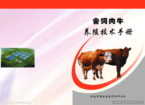 八字合婚：男牛和女羊八字合不合婚（男牛和女羊配婚姻好不好）