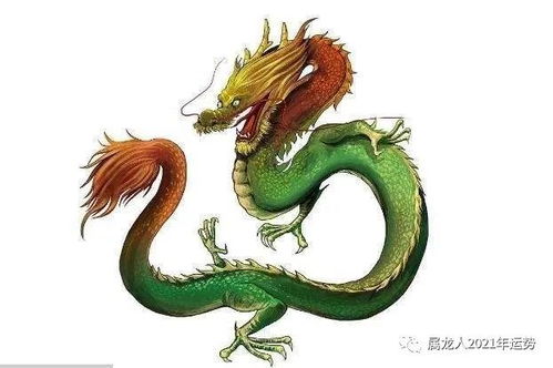 感情运势：生肖龙6月感情运势详解（生肖龙6月份运势）