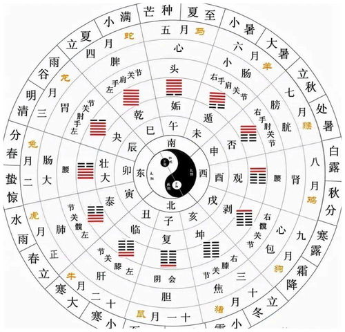 今日运势：大畜卦今日运势（大畜卦预示什么）