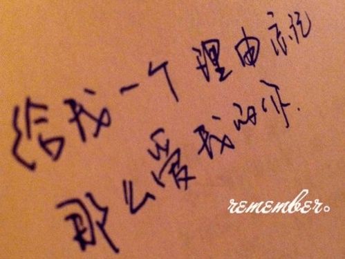 感情运势：12月射手感情运势文字（射手座12月爱情）
