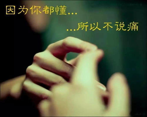 感情运势：93年的今年的感情运势（93年的今年的感情运势如何）